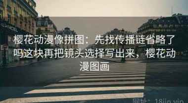 樱花动漫像拼图：先找传播链省略了吗这块再把镜头选择写出来，樱花动漫图画