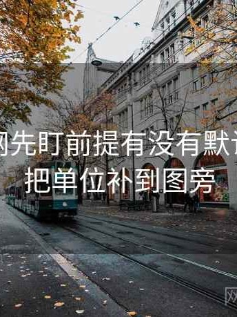 读麻豆网先盯前提有没有默认，然后把单位补到图旁